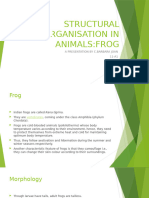 Structural Organisation in Animals Biology