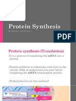 Protein Synthesis