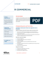 Directeur Commercial 09 06 2024