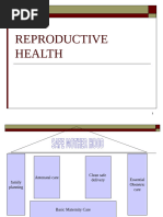 Reproductive Health 2, Safemotherhood