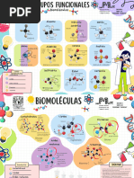 Cartes Grupos Funcionales y Biomoléculas 3