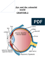 2024-2025-Class X-Physics-Chapter 2-AW