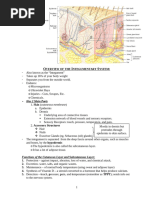 A&P Chapter 5 Notes