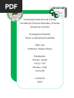 La Alimentacion Perdida