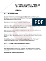 Modulo 4 El Perro Urbano Perros en Centros de Acogida Zoonosis