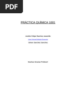 Informe de Práctica Indicador Casero