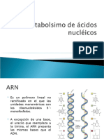 Metabolismo de Arn