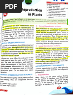 Scan Notes of Reproduction in Plants Class-7