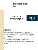 Cell Structure and Function