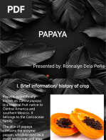 Papaya