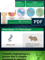 Q2 Els Lesson 4 Genetic Engineering