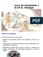 Curso Basico Seguridad Nivel 2