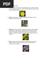 15 Plantas Comestibles