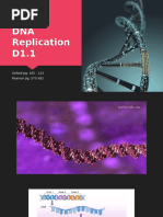 DNA Replication D1.1