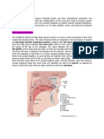 Phonetics and Phonology