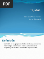 Tejidos - Anatomía