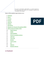 Input and Output Devices