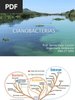 APRES A4 CIANOBACTERIAS Rev2