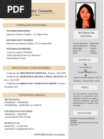 CV - Allison Galan Tuanama