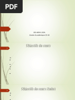 Présentation Cours Algo Prog MIP