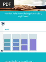 Abordaje de Las Necesidades Psicosociales y Espirituales