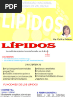 Lipidos Unheval