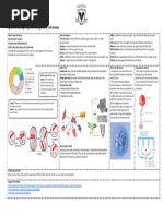 Term 3 Science Y9