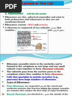 Lecture 4 the Cell-2 (١)