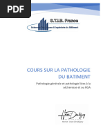 Cours Sur La Pathologie Du Batiment