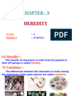 X 9 Heredity and Evolution