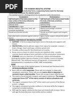 Skeletal System1