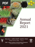 Iihr Annual Report 2021r