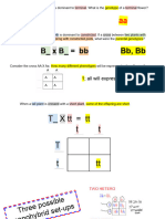 8 4bioDIHYnotes