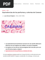 Equivalencias de Los Perfumes y Colonias de Carav