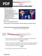 Proyecto Del Mes 1