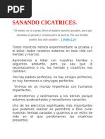 Sanando Cicatrices