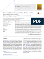 Remobilização de Biomassa em Duas Cultivares de Grãos Comuns (Phaseolus Vulgaris L.) Sob Restrição de Água