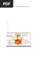 Aparato Digestivo