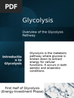 Glycolysis 2