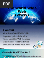 The World Wide Web ICT