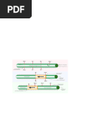 Mechanism of Transmission of Nerve Impulse