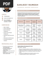 Sanjeev Resume 2024