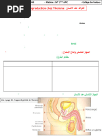 Chapitre 3 - La Reproduction Chez L'homme (2ème APIC)