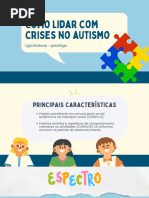 Crise No Autismo