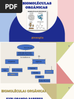 Biomoleculas Orgánicas PDF