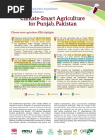 CSA - Profile - Punjab