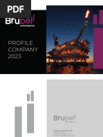 Brubeli - Profile Company 2023 January