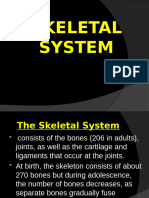 Lesson 4 - Skeletal System