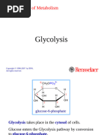 Glycolysis