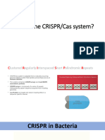 Cancer Biology 2